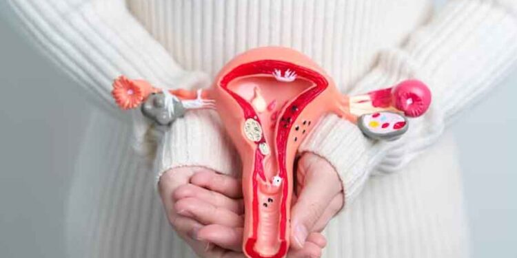 Östrojen Nedir? Kadınların Önemli Hormonu