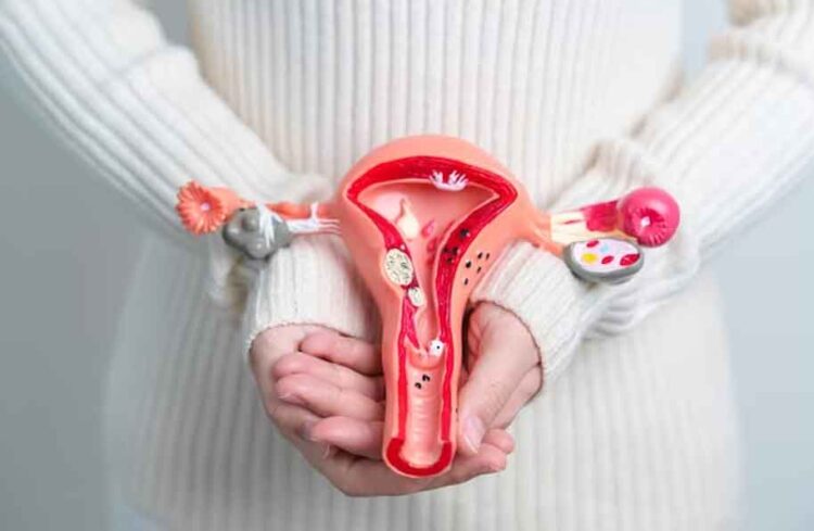 Östrojen Nedir? Kadınların Önemli Hormonu
