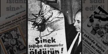 İstanbul Sinek Avı Seferberliği: 1959’da Yaşanan Garip Savaş
